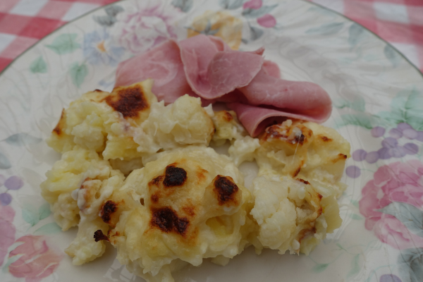 remplacer la béchamel dans un gratin
