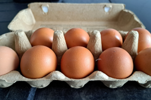 les oeufs de categories a ont plusieurs caracteristiques lesquelles