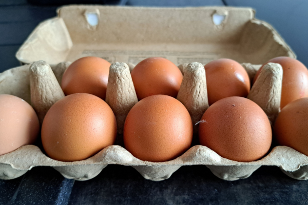 les oeufs de categories a ont plusieurs caracteristiques lesquelles