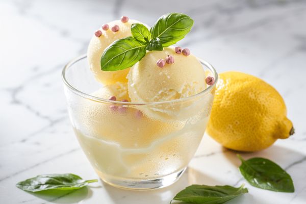 sorbet citron basilic novascope